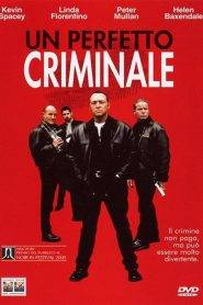 Un perfetto criminale