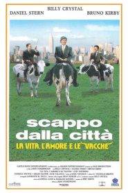 Scappo dalla città – La vita, l’amore e le vacche