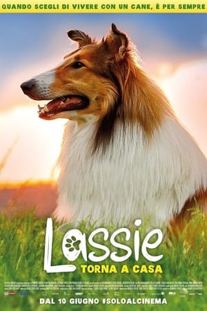 Lassie torna a casa