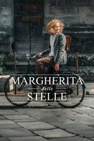 Margherita delle stelle